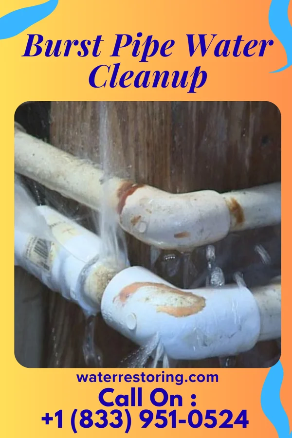Burst Pipe Water Cleanup in Reading, PA