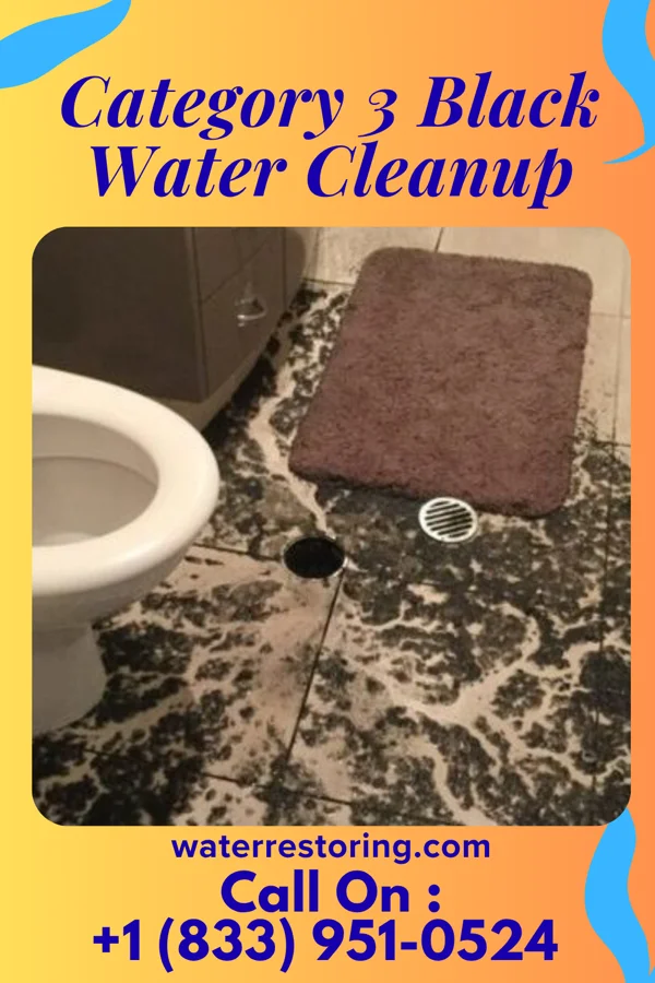 Category 3 Black Water Cleanup in Reading, PA