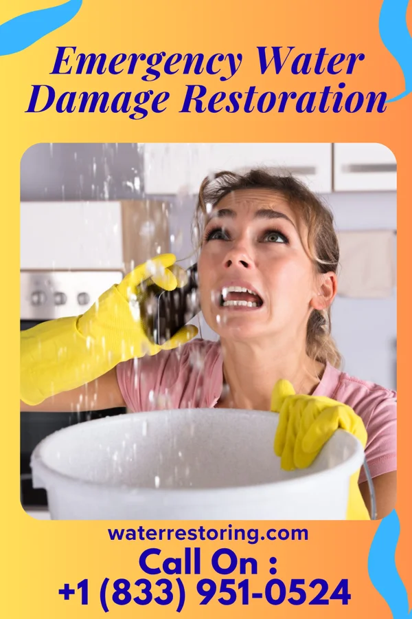 Emergency Water Damage Restoration in Reading, PA
