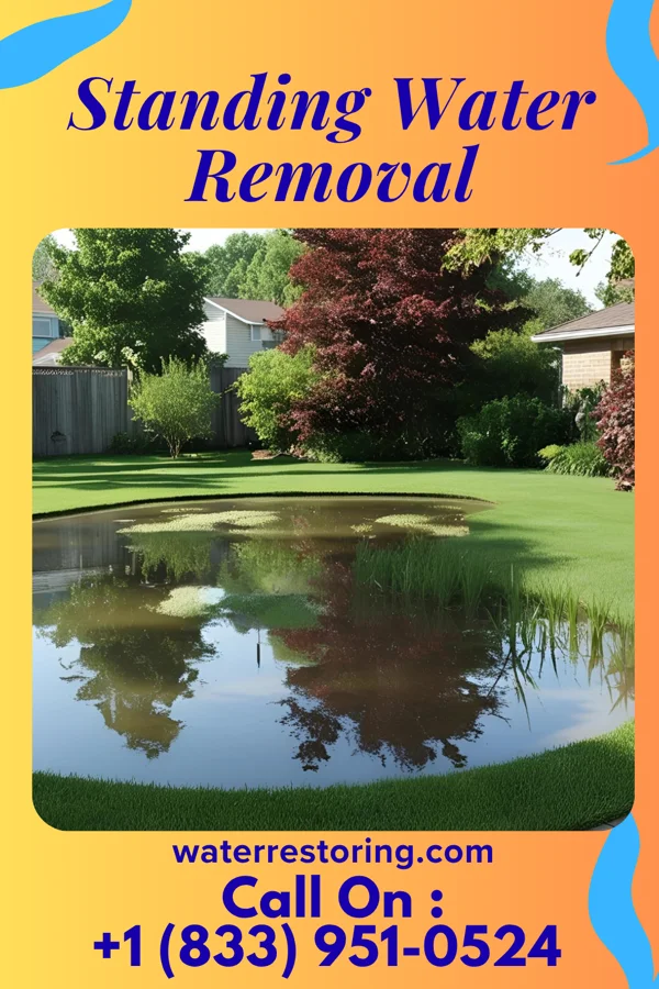 Standing Water Removal in Reading, PA
